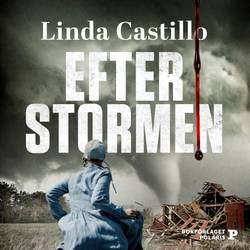 Efter stormen