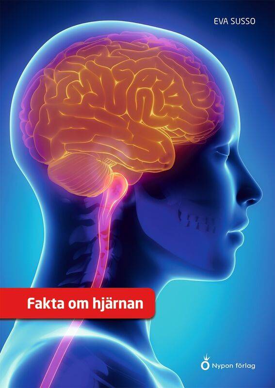 Fakta om hjärnan