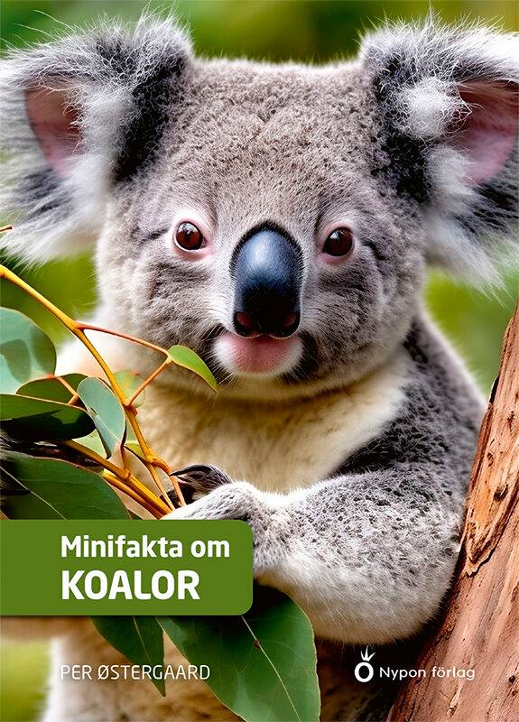 Minifakta om koalor