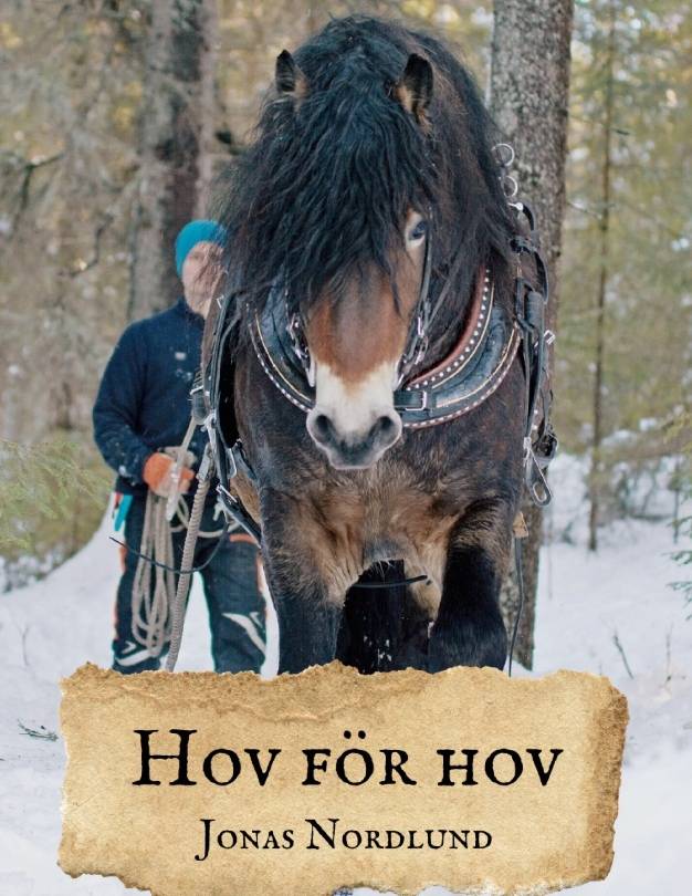 Hov för hov