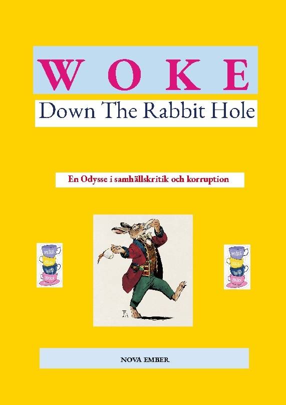 Woke : down the rabbit hole : en odysse i samhällskritik och korruption