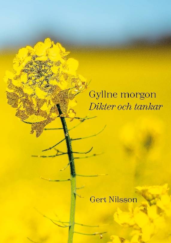 Gyllne morgon : dikter och tankar