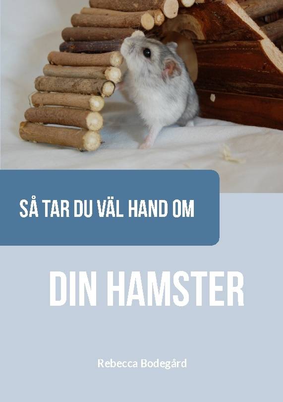 Så tar du väl hand om din hamster