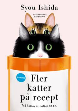 Fler katter på recept