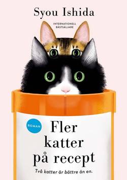Fler katter på recept