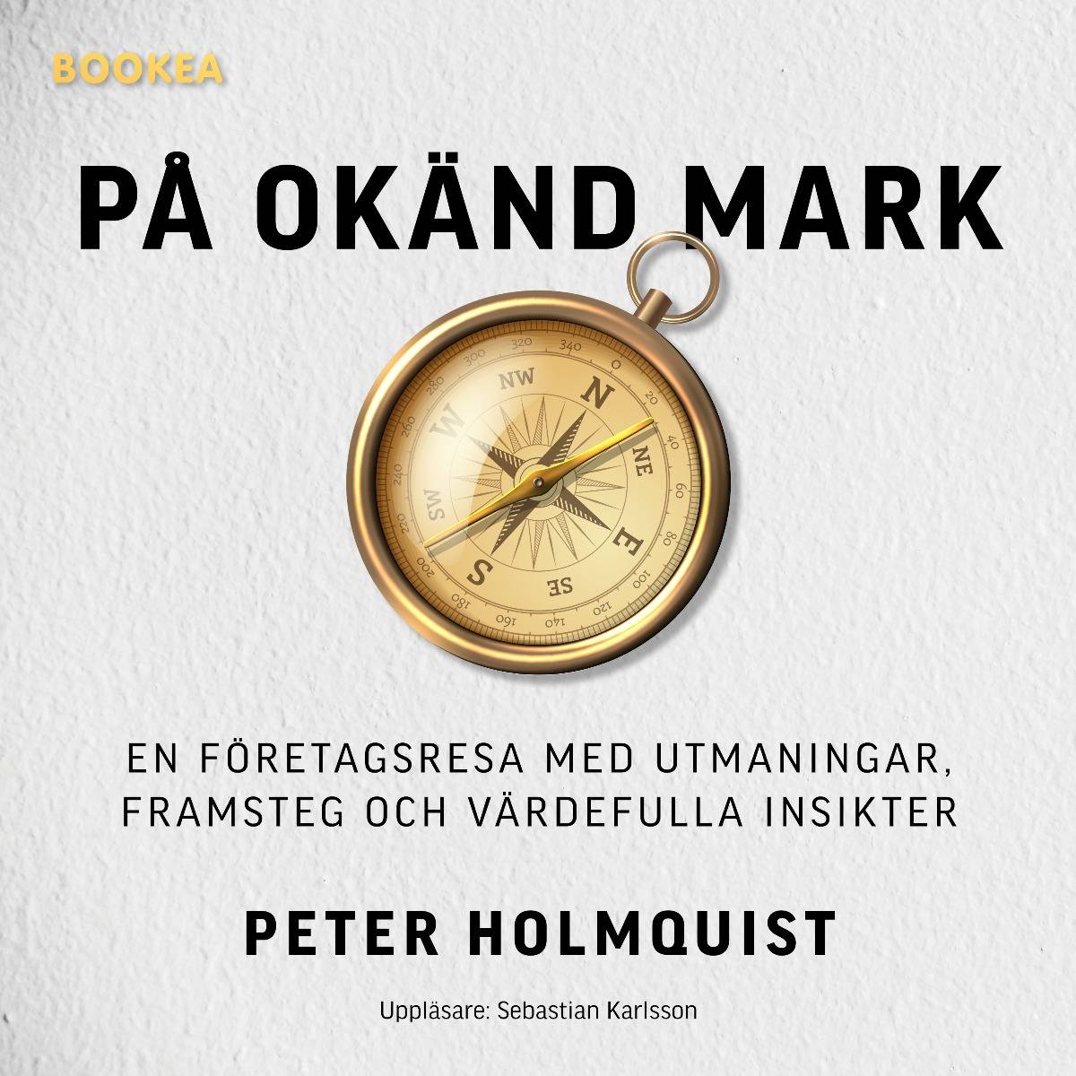 På okänd mark : en företagsresa med utmaningar, framsteg och värdefulla insikter