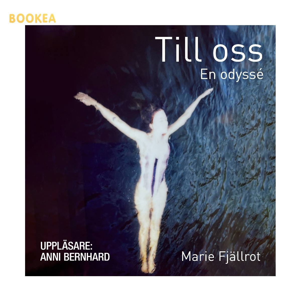 Till oss - en odyssé