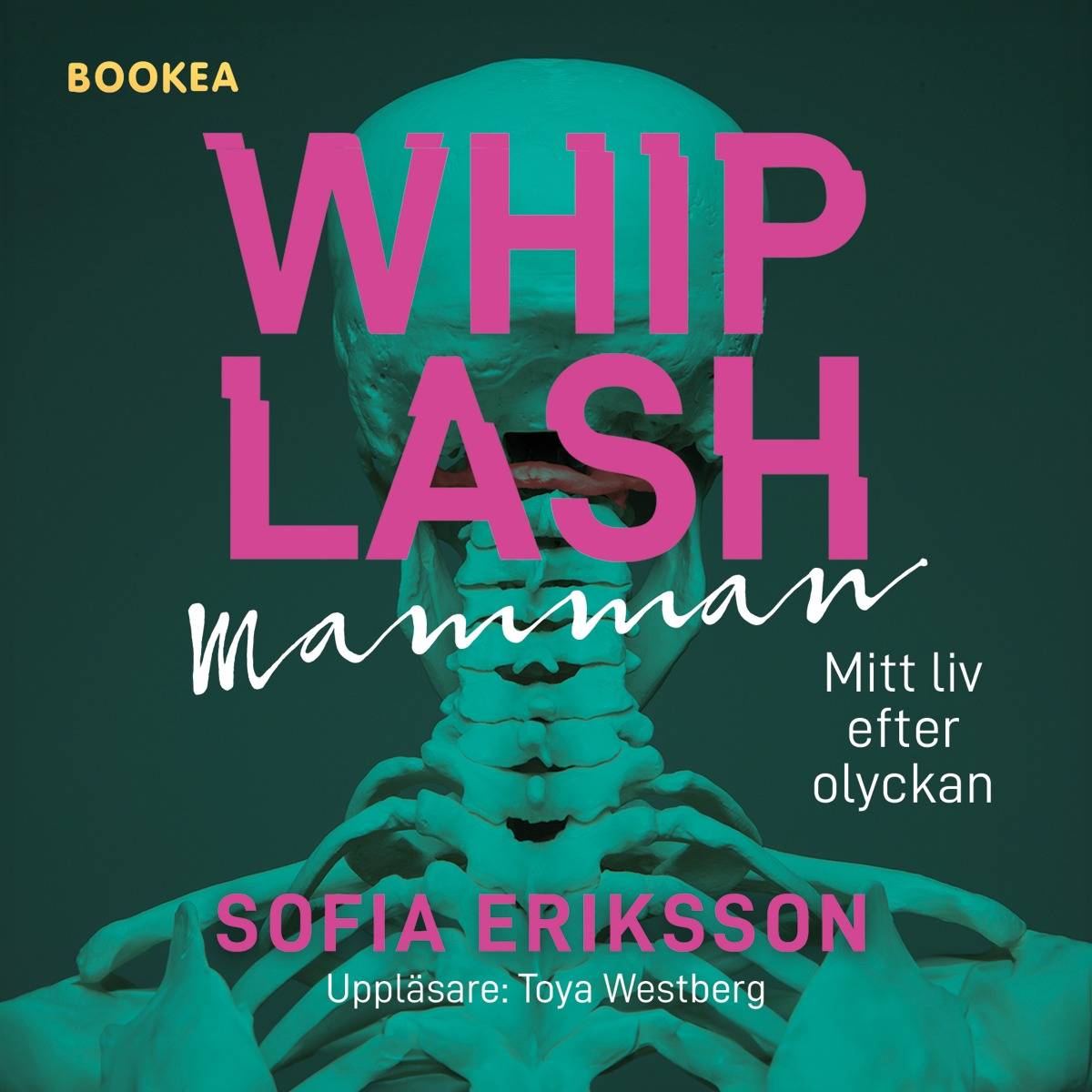 Whiplashmamman : mitt liv efter olyckan