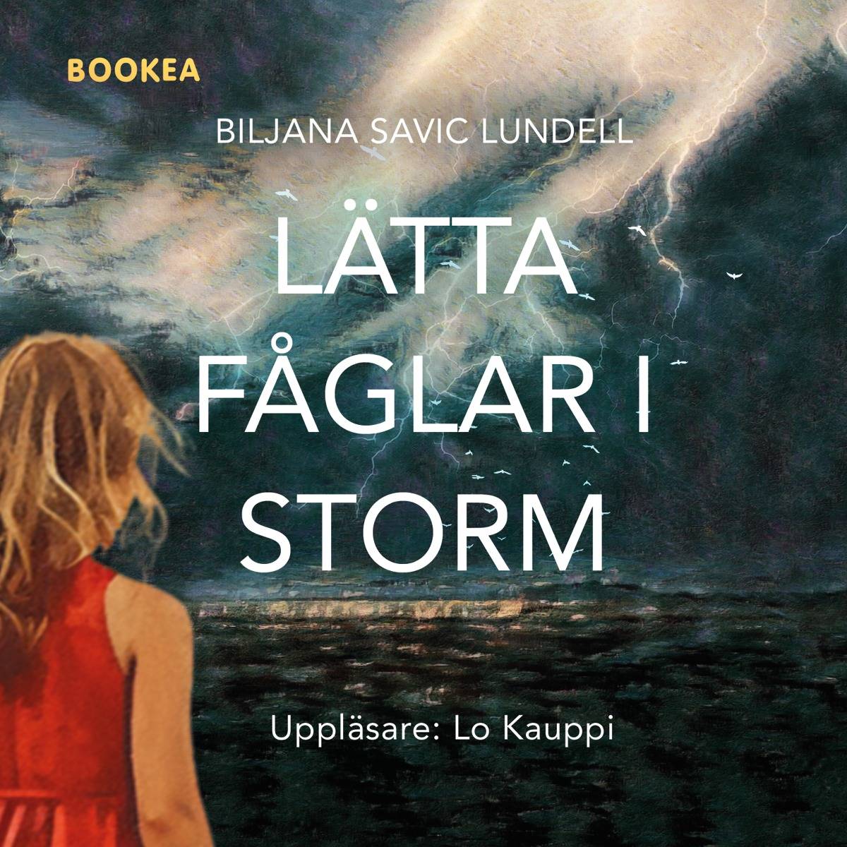 Lätta fåglar i storm