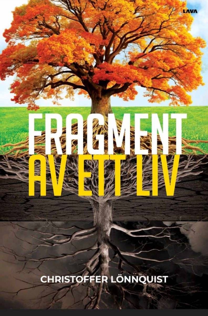 Fragment av ett liv