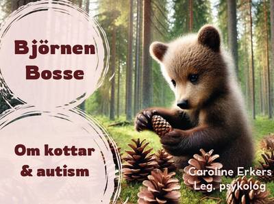 Björnen Bosse - Om kottar & autism