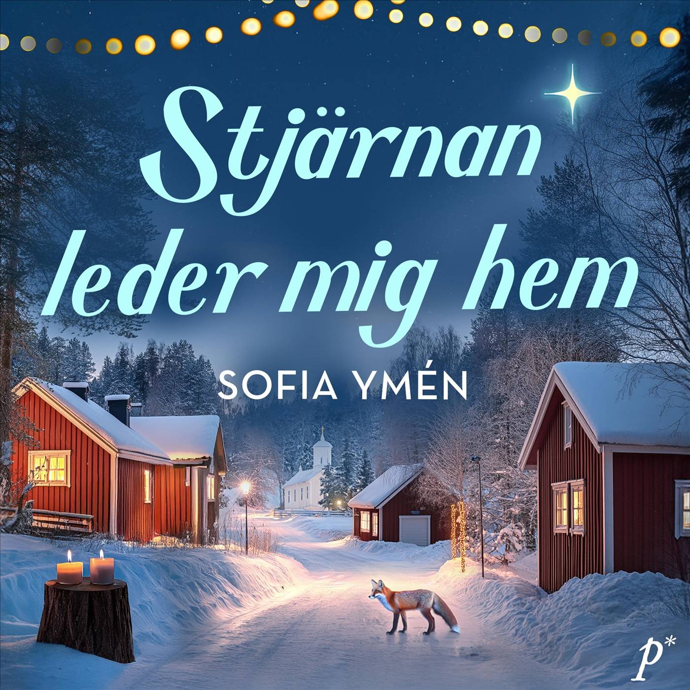 Stjärnan leder mig hem