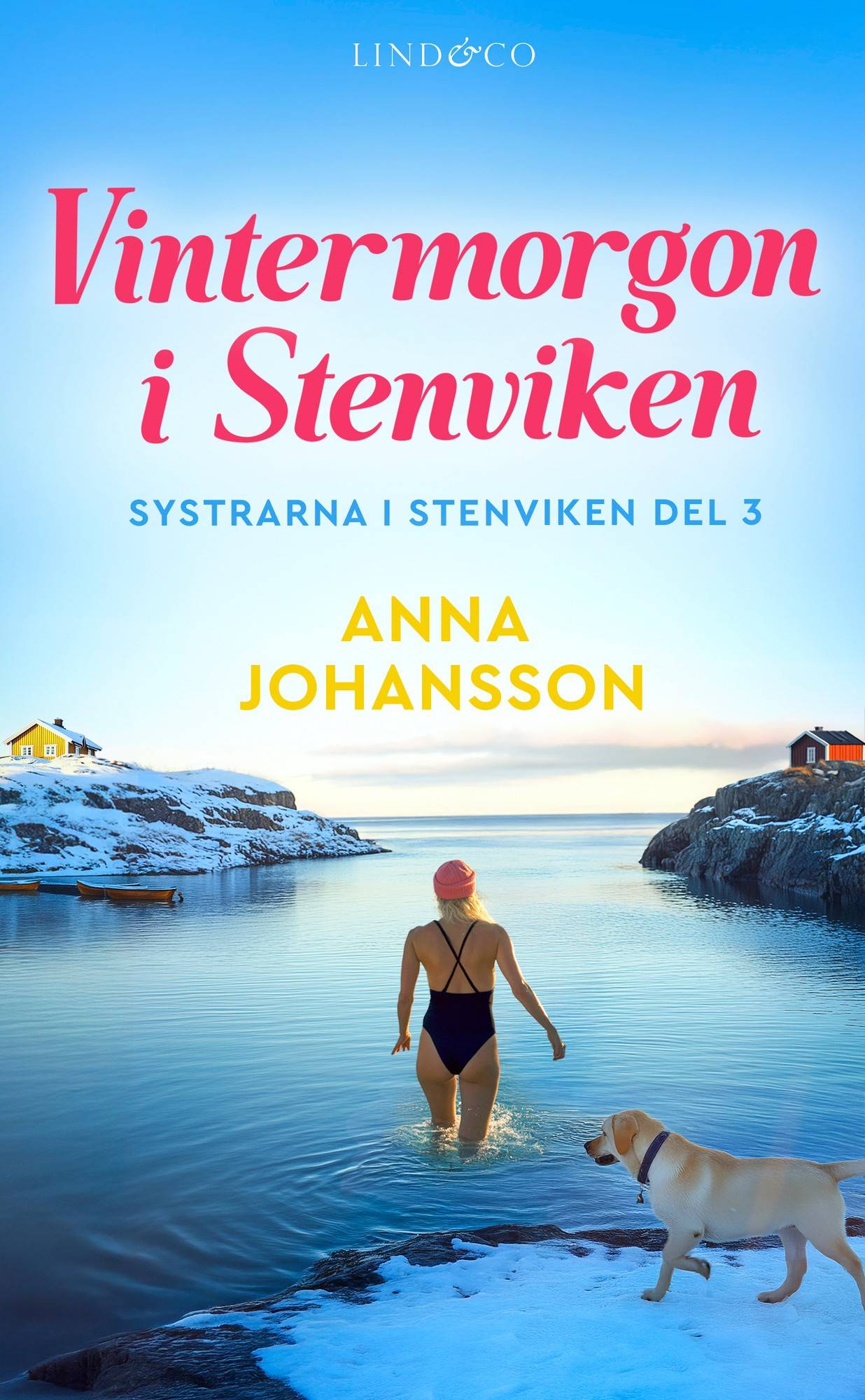 Vintermorgon i Stenviken