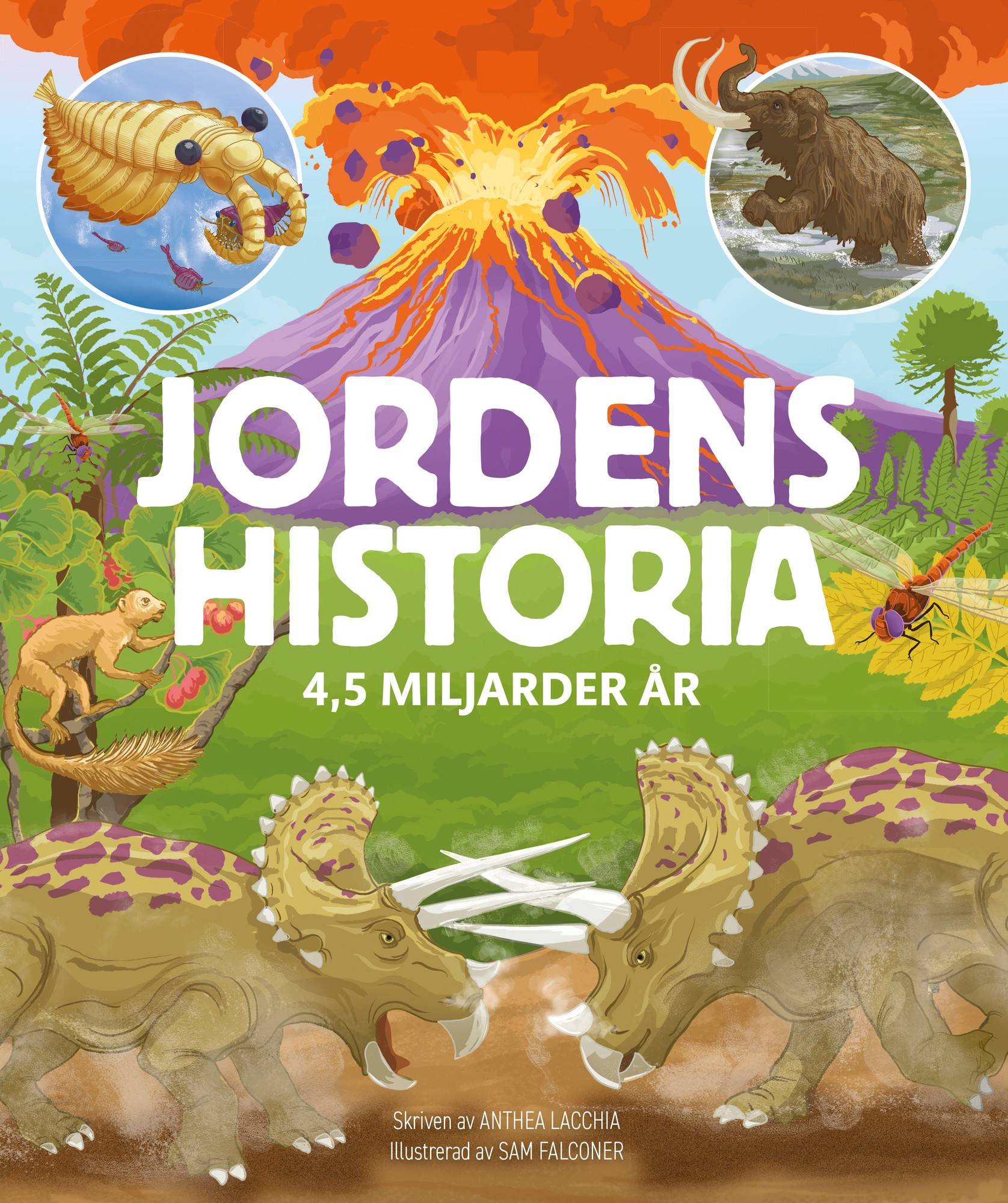 Jordens historia : 4,5 miljarder år