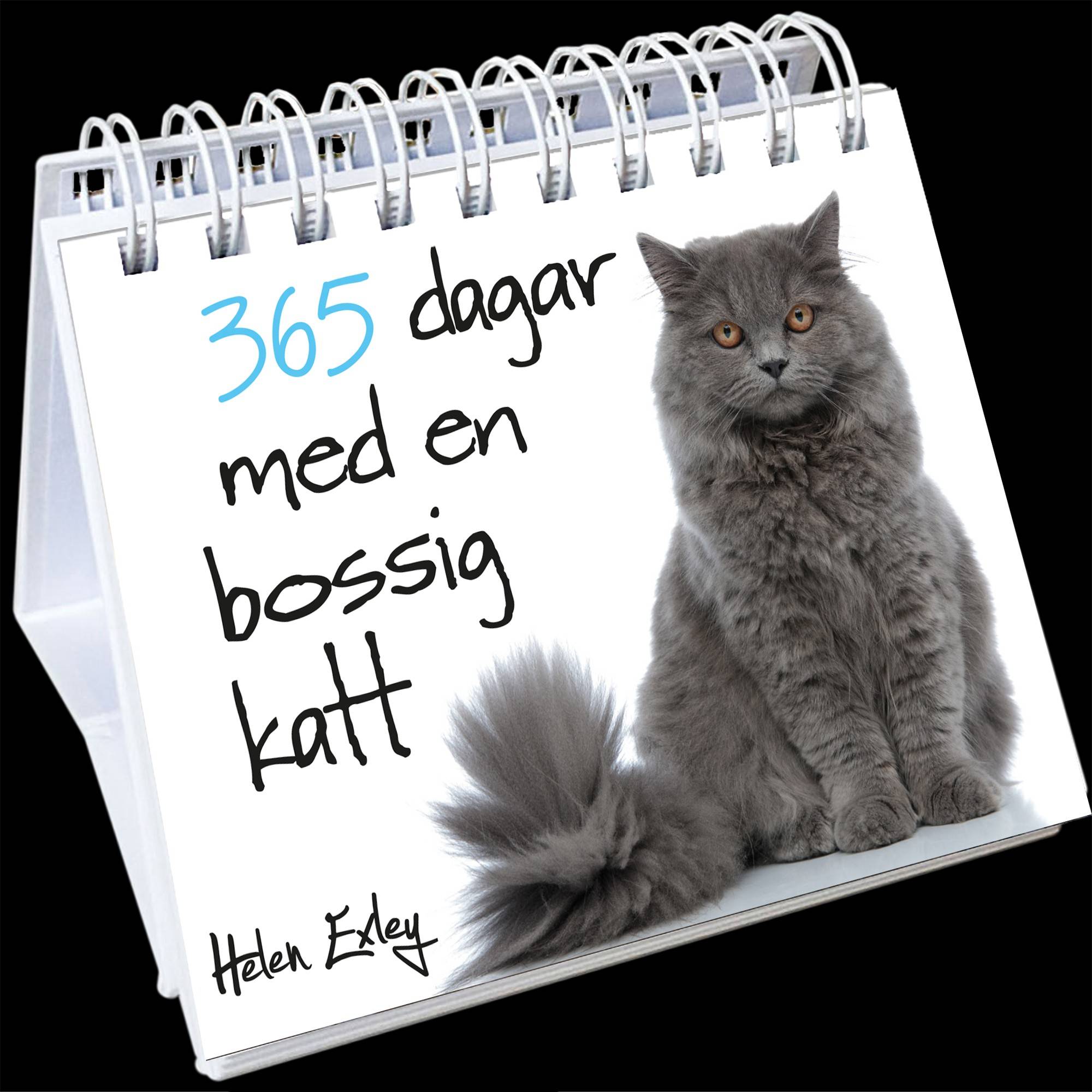 365 dagar med en bossig katt