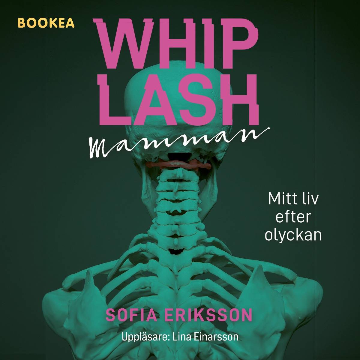 Whiplashmamman : mitt liv efter olyckan