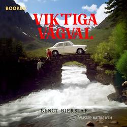Viktiga vägval