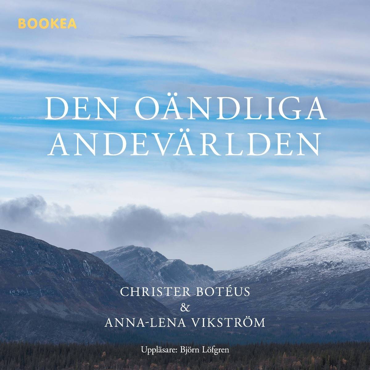 Den oändliga andevärlden