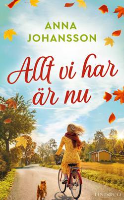 Allt vi har är nu