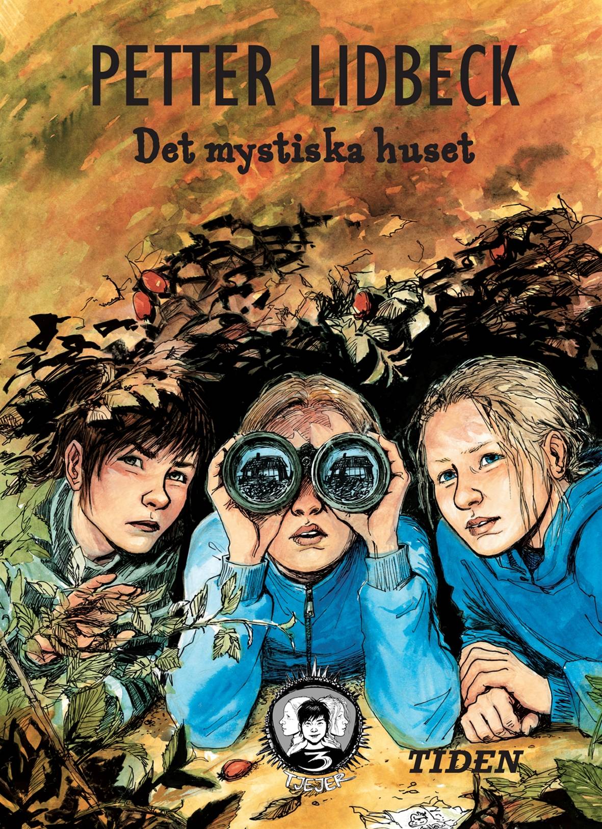 Det mystiska huset