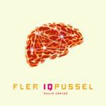 Fler IQ-pussel