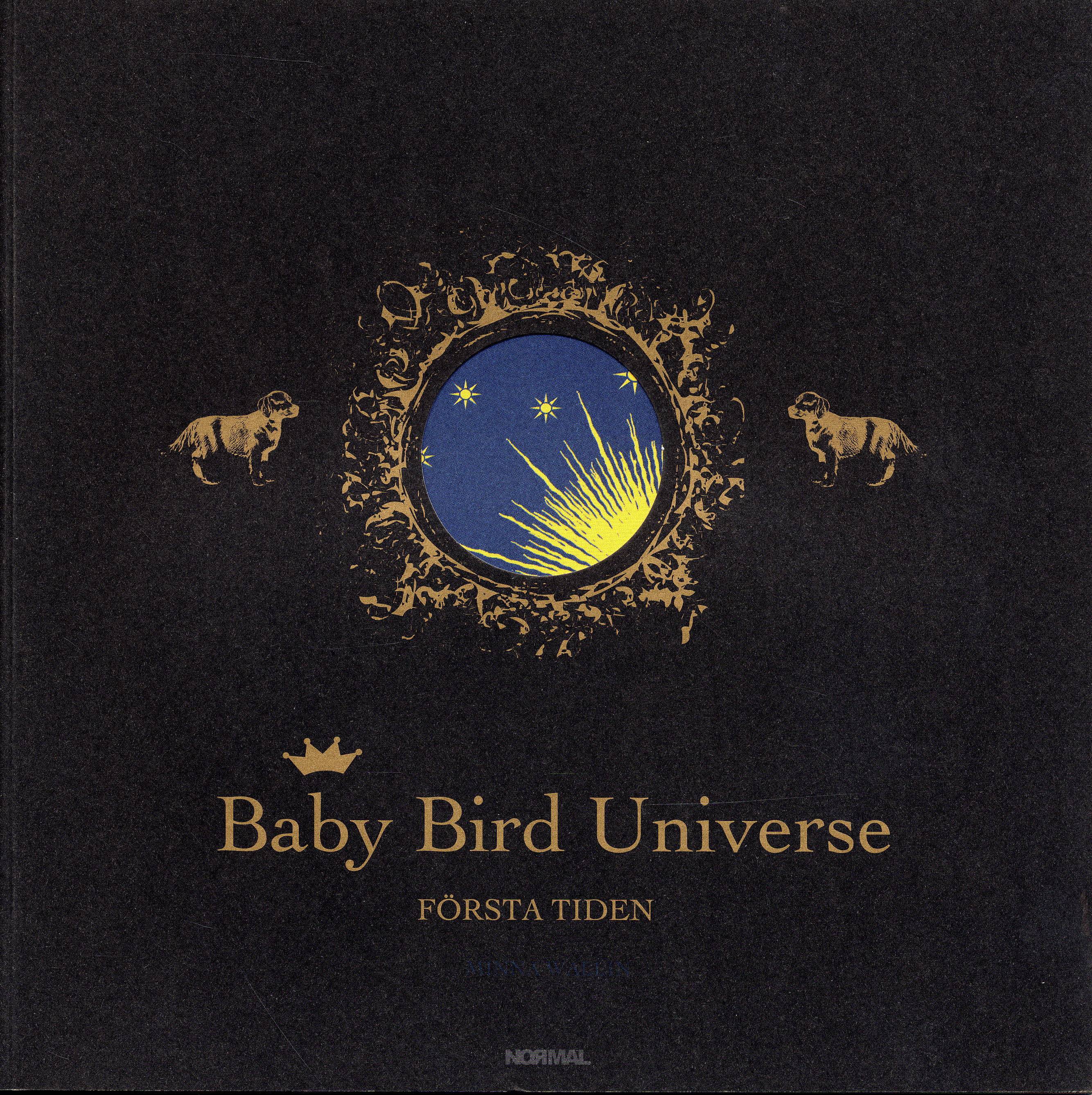 Baby Bird Universe :  första tiden