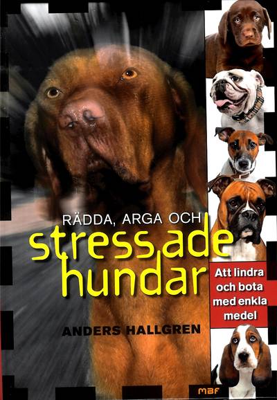 Rädda, arga och stressade hundar