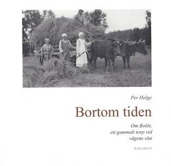 Bortom tiden : om Bolöt, ett gammalt torp vid vägens slut