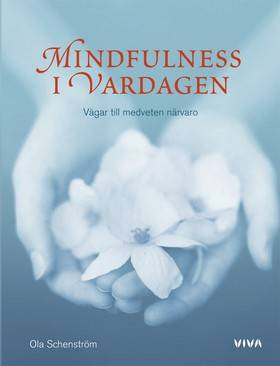 Mindfulness i vardagen : vägar till medveten närvaro