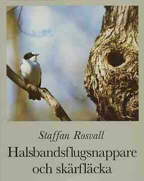 Halsbandsflugsnappare och skärfläcka : några gotländska fåglars historia