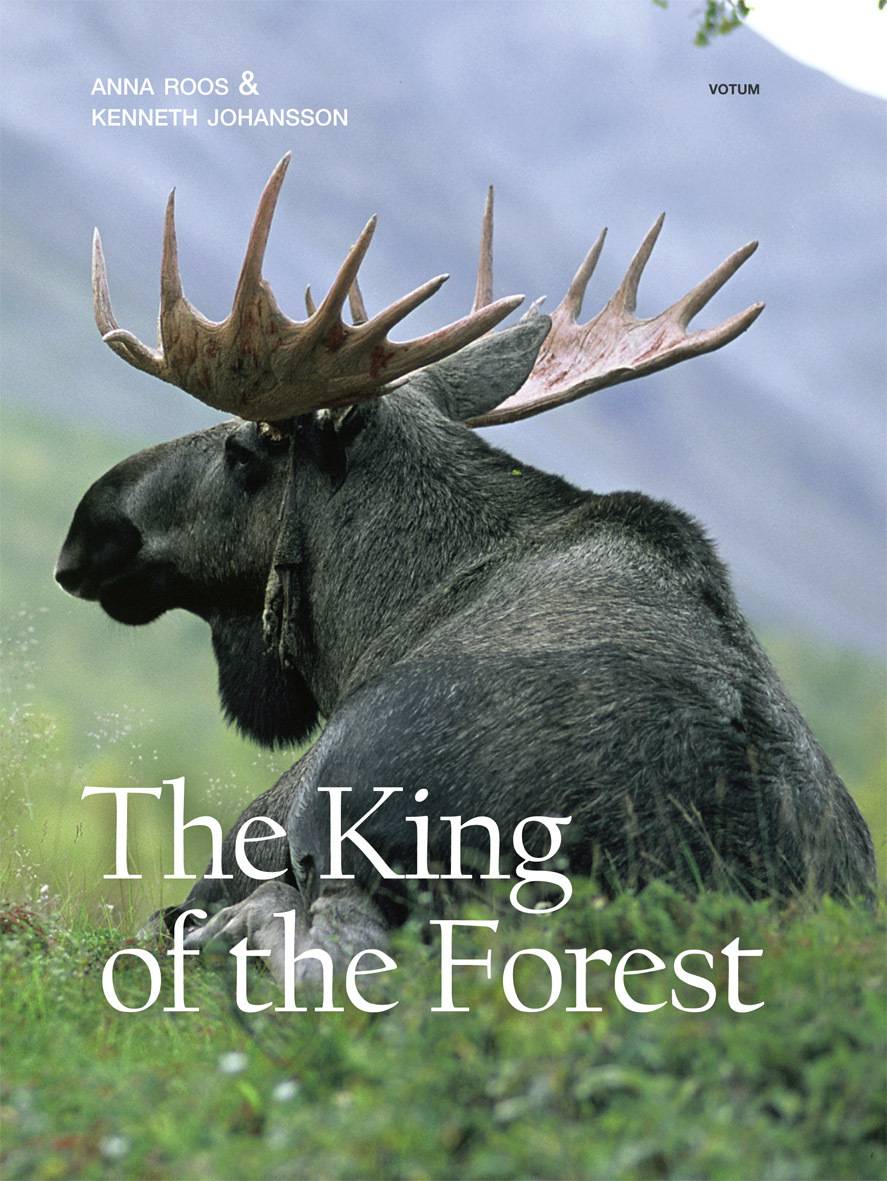 The King of the Forest