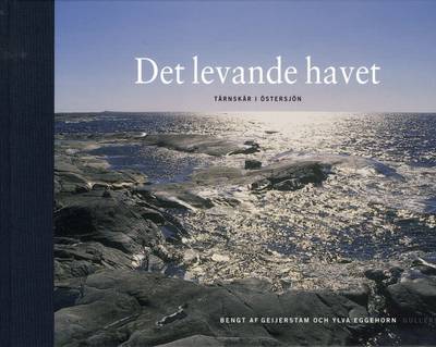 Det levande havet : Tärnskär i Östersjön