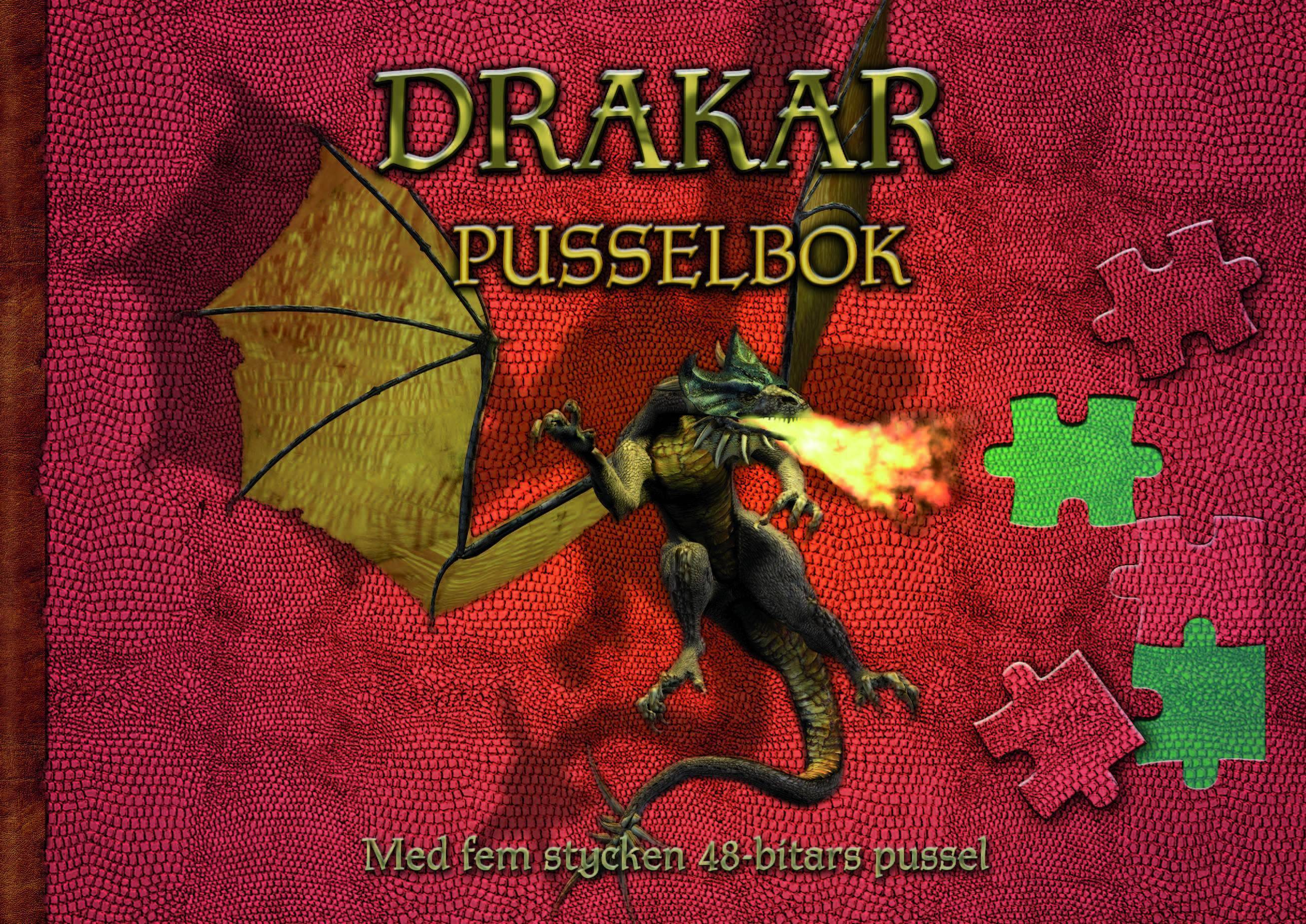 Drakar : pusselbok