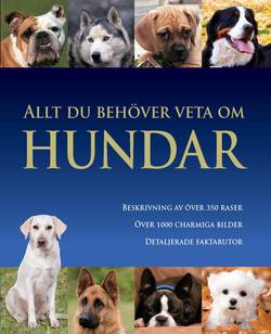 Allt du behöver veta om hundar