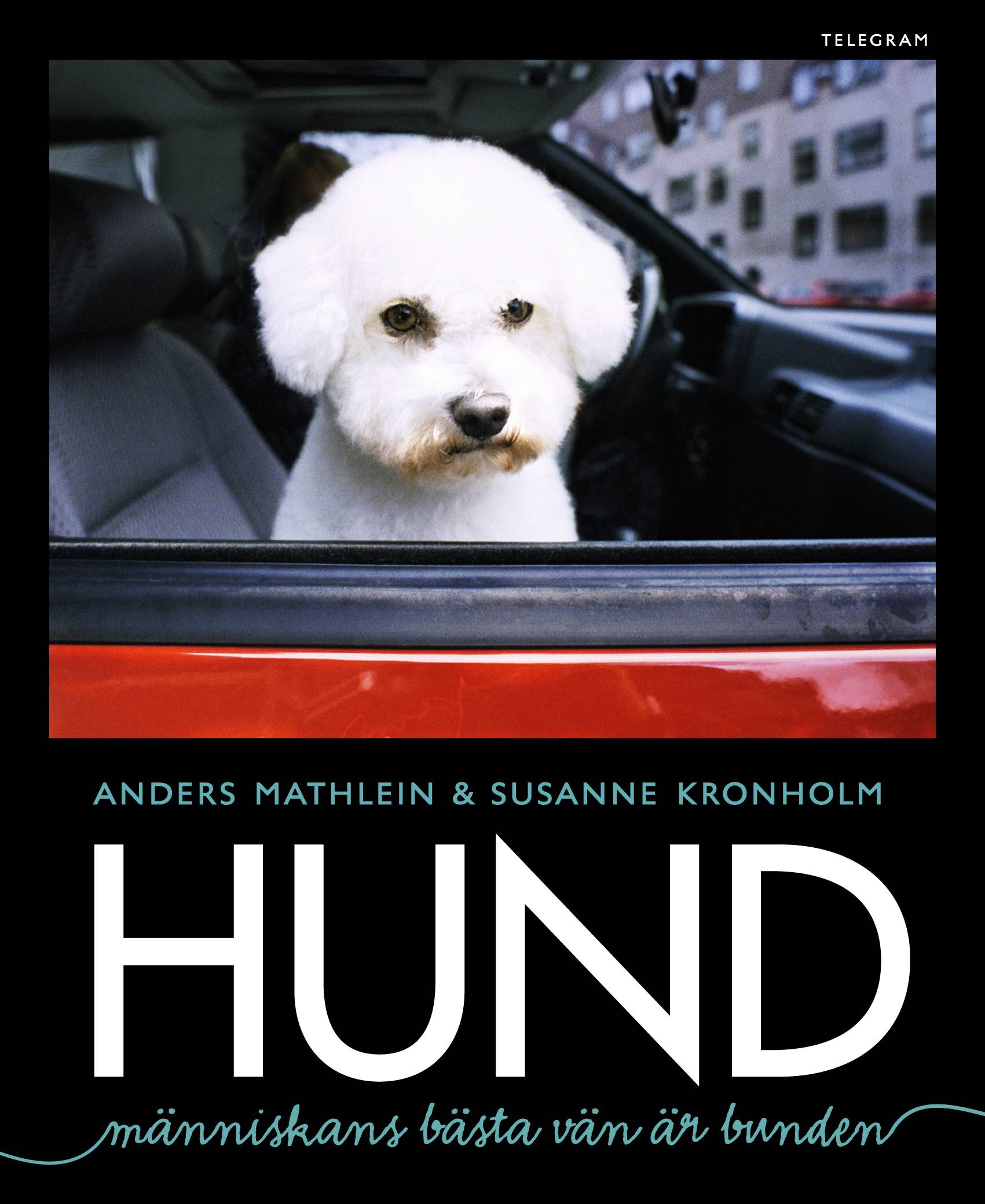 Hund - Människans bästa vän är bunden