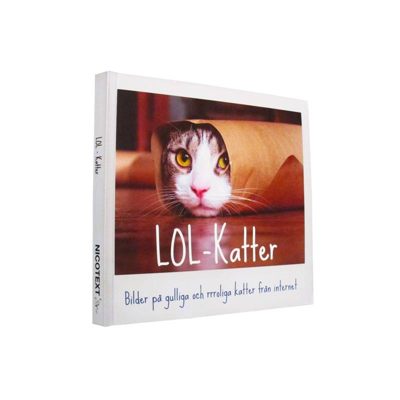 LOL-katter : bilder på gulliga och rrroliga katter från internet