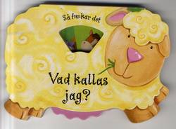 Vad kallas jag?