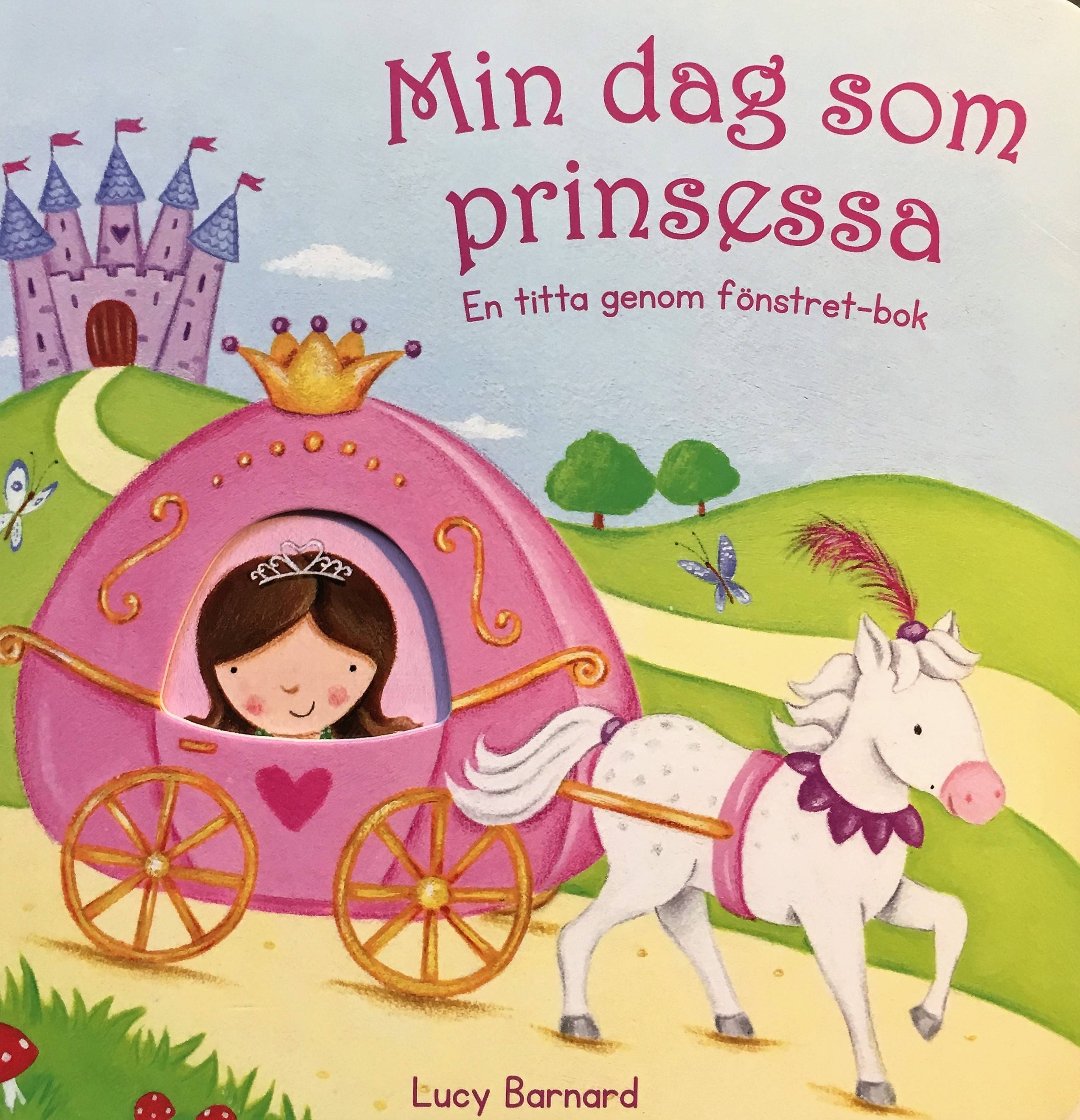 Min dag som prinsessa : en titta genom fönstret-bok
