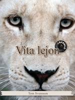Vita lejon : i närbild