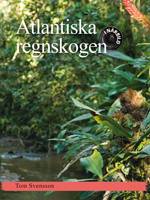 Atlantiska regnskogen : i närbild