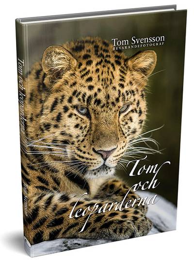 Tom och leoparderna: härliga bilder och lite fakta om leoparder