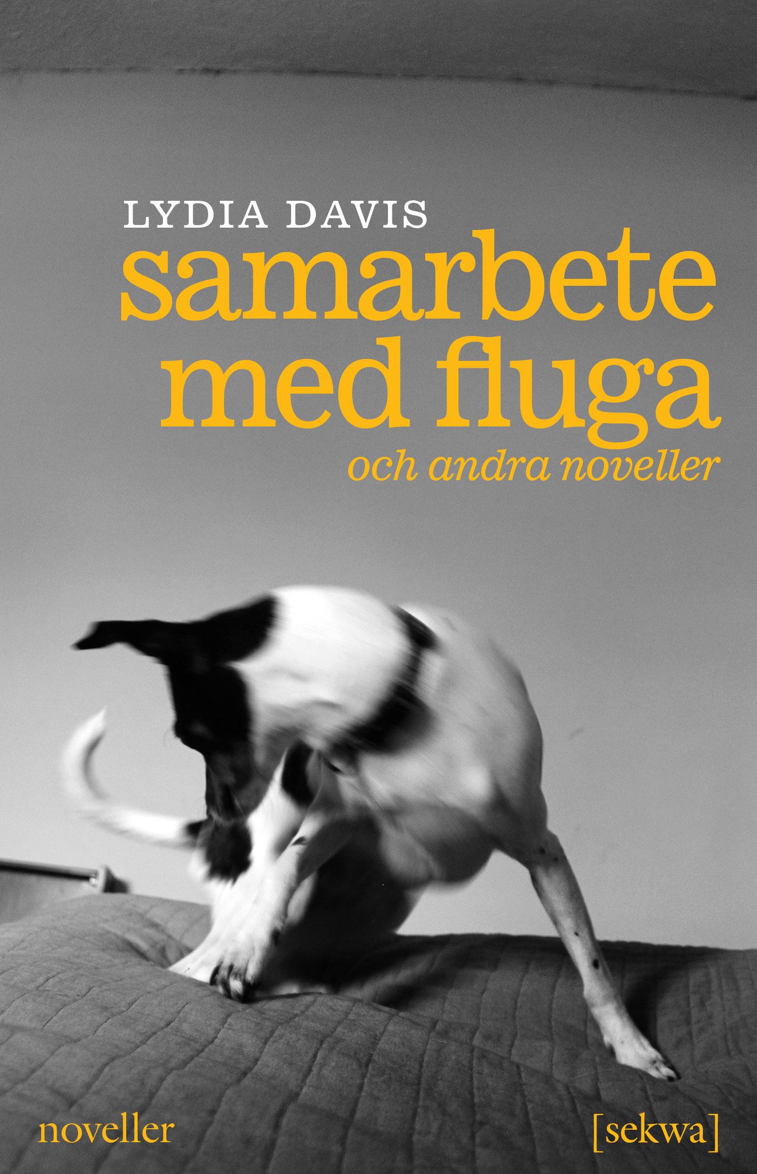 Samarbete med fluga och andra noveller