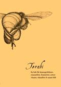 Terabi : en bok för honungsälskare, romantiker, feminister, naturvänner, sömnlösa & annat folk
