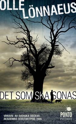 Det som ska sonas