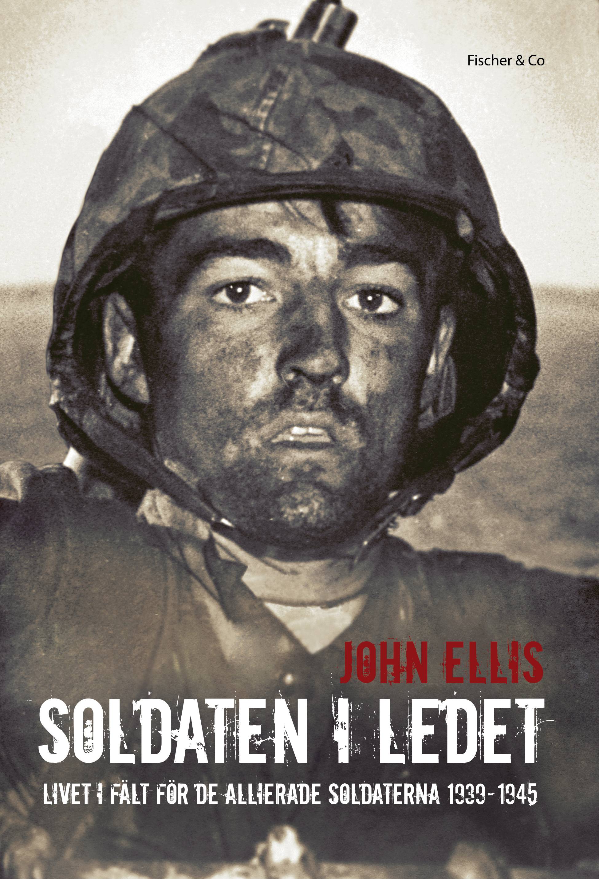 Soldaten i ledet : livet i fält för de allierade soldaterna 1939-1945