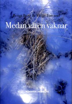 Medan våren vaknar