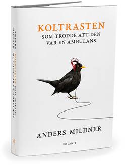 Koltrasten som trodde att den var en ambulans