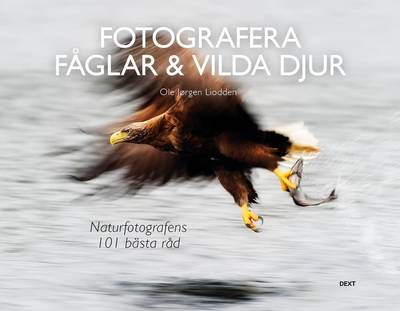 Fotografera fåglar & vilda djur: naturfotografens 101 bästa råd