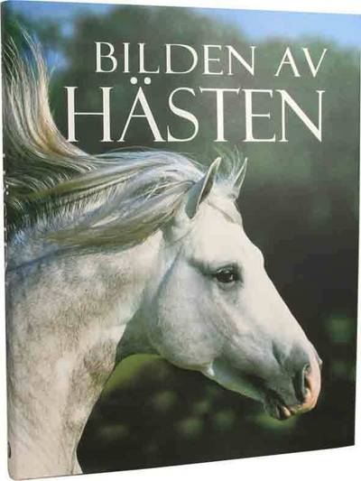 Bilden av hästen