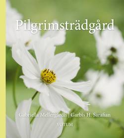 Pilgrimsträdgård